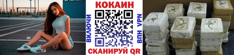 закладки  Элиста  Cocaine VHQ 