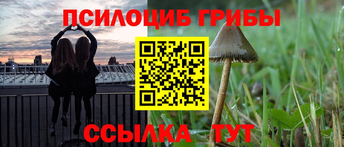 купить закладку  Вход с VPN  Галлюциногенные грибы прущие грибы  Элиста  Псилоцибиновые грибы MAGIC MUSHROOMS 